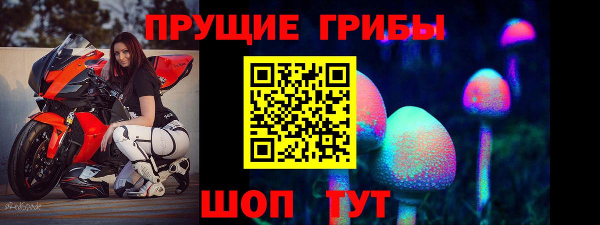 Псилоцибиновые грибы мицелий Белебей